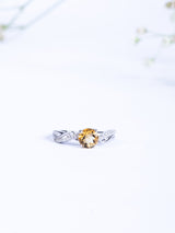 Horizon Ring