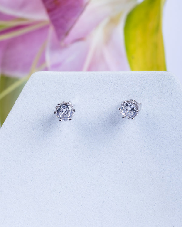 Eternal Shine Studs