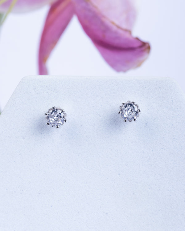 Eternal Shine Studs